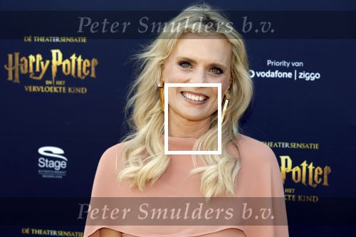 Scheveningen 14 maart 2026
Premiere Harry Potter in het afas circustheater. Eveline Stallaart kwam met Mari v d Ven