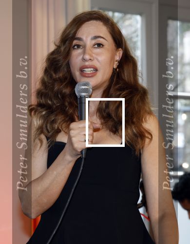 Amsterdam 8 maart 2026
Boek presentatie Yesim Candan in het college Hotel. Fidan Ekiz