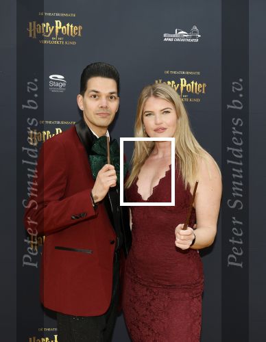Scheveningen 14 maart 2026
Premiere Harry Potter in het afas circustheater. Glenn Eilbracht
