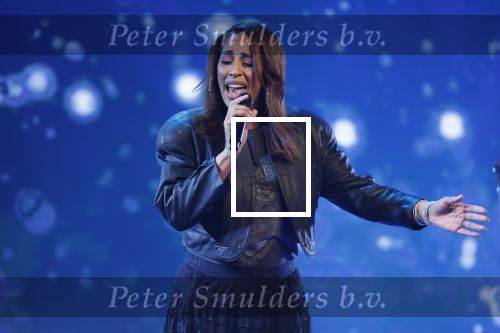 Amsterdam 27 maart 2026
Hans Klok kondigt Glennis Grace aan . Glennis gaat het komende jaar wekelijks optreden in the Harbour Club .