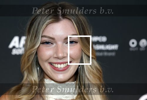 Leusden 9 maart 2026
Uitreiking edisons muziekprijzen bij Afas . Hannah Mae