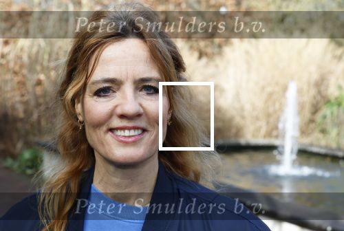 Amsterdam 1 maart 2026
Presentatie boek Lies Visschedijk bij de botanische tuin . Hans Dorrestijn reikte het eerste exemplaar uit . Ilse warringa kwam met haar man Gerwalt Spijkerman