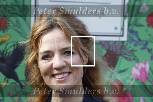Amsterdam 1 maart 2026
Presentatie boek Lies Visschedijk bij de botanische tuin . Hans Dorrestijn reikte het eerste exemplaar uit . Ilse warringa kwam met haar man Gerwalt Spijkerman