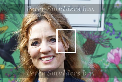Amsterdam 1 maart 2026
Presentatie boek Lies Visschedijk bij de botanische tuin . Hans Dorrestijn reikte het eerste exemplaar uit . Ilse warringa kwam met haar man Gerwalt Spijkerman
