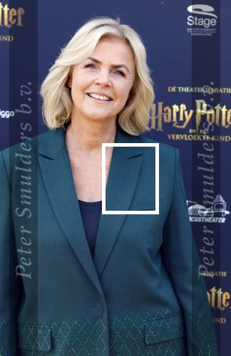 Scheveningen 14 maart 2026
Premiere Harry Potter in het afas circustheater. Irene Moors kwam met een goede vriendin