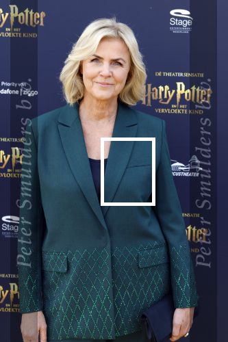Scheveningen 14 maart 2026
Premiere Harry Potter in het afas circustheater. Irene Moors kwam met een goede vriendin