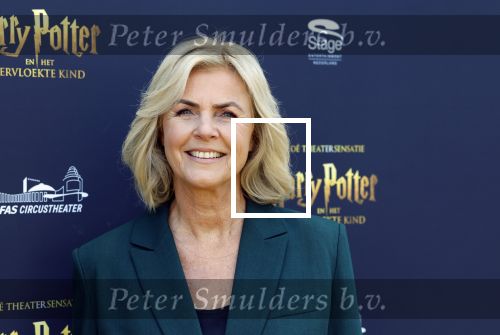 Scheveningen 14 maart 2026
Premiere Harry Potter in het afas circustheater. Irene Moors
