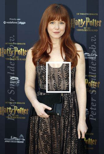Scheveningen 14 maart 2026
Premiere Harry Potter in het afas circustheater. Jolijn Henneman