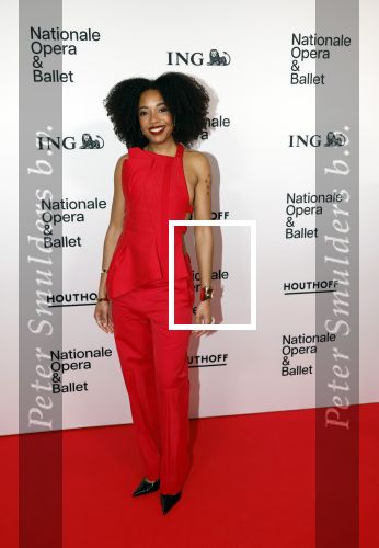 Amsterdam 26 maart 2026
Premiere Nationaal Ballet in de stopera.Joy Delima