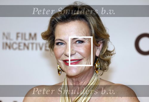 Amsterdam 16 maart 2026
Premiere Champagne met in de hoofdrollen Leo Alkemade Huub Stapel  en Guus Meeuwis . Justine Marcella met partner