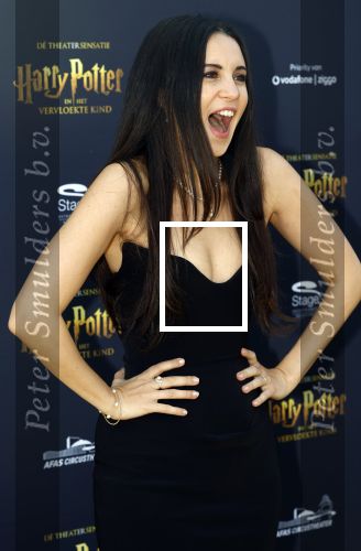 Scheveningen 14 maart 2026
Premiere Harry Potter in het afas circustheater. Karsu kwam met haar man