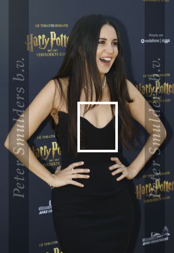 Scheveningen 14 maart 2026
Premiere Harry Potter in het afas circustheater. Karsu kwam met haar man