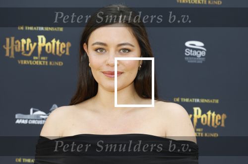 Scheveningen 14 maart 2026
Premiere Harry Potter in het afas circustheater. Keoma Aidhen
