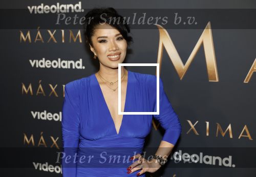 Amsterdam 11 maart 2026
Premiere 2e seizoen Maxima ( Videoland) in nieuwe kerk in Amsterdam . kimmylien Nguyen