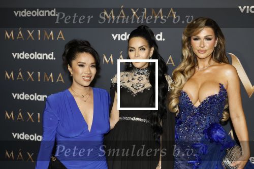 Amsterdam 11 maart 2026
Premiere 2e seizoen Maxima ( Videoland) in nieuwe kerk in Amsterdam . Kimmylien Nguyen Elvira Penthesilea en Deborah Luijendijk