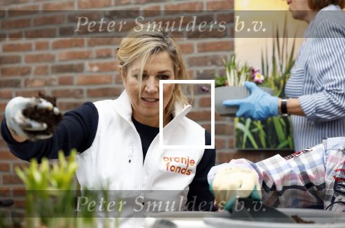 Hoofdorp 13 maart 2026
Koning Willem Alexander en Koningin Maxima voor NL Doet
