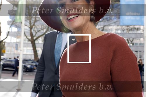 Den Haag 31 maart 2026
Koningin MÃ¡xima is aanwezig bij de viering van het 70-jarig jubileum van Oxfam Novib. De internationale humanitaire organisatie kijkt tijdens de viering vooruit naar de grote, wereldwijde uitdagingen van deze tijd. Koningin MÃ¡xima opent tijdens de bijeenkomst het nieuwe kantoor. Jan v Zanen en Wouter Kolff  ontvangen Maxima