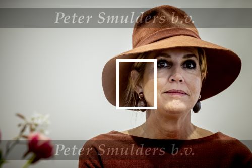 Den Haag 31 maart 2026
Koningin MÃ¡xima is aanwezig bij de viering van het 70-jarig jubileum van Oxfam Novib. De internationale humanitaire organisatie kijkt tijdens de viering vooruit naar de grote, wereldwijde uitdagingen van deze tijd. Koningin MÃ¡xima opent tijdens de bijeenkomst het nieuwe kantoor. Jan v Zanen en Wouter Kolff  ontvangen Maxima . Dolf Jansen