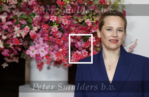 Amsterdam 26 maart 2026
Premiere Nationaal Ballet in de stopera. Lies Visschedijk