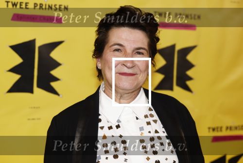 Amsterdam 2 maart 2026
Boekpresentatie Splinter Chabot in de stadsschouwburg van Amsterdam. Liliane Ploumen