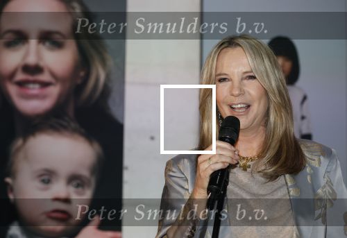 Amsterdam 26 maart 2026
Presentatie Linda Mini . Linda de Mol
