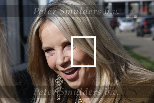 Amsterdam 26 maart 2026
Presentatie Linda Mini . Linda de Mol