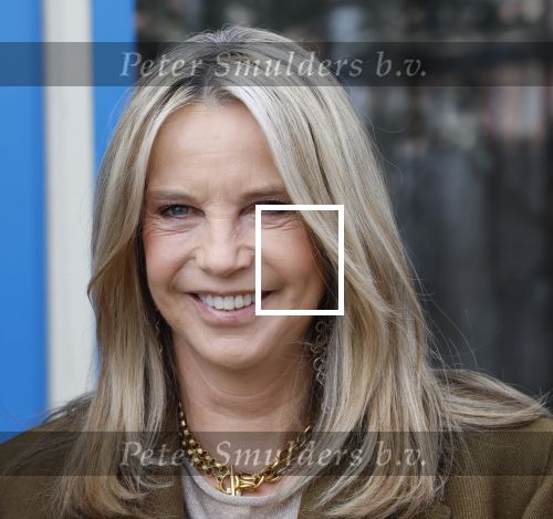 Amsterdam 26 maart 2026
Presentatie Linda Mini . Linda de Mol