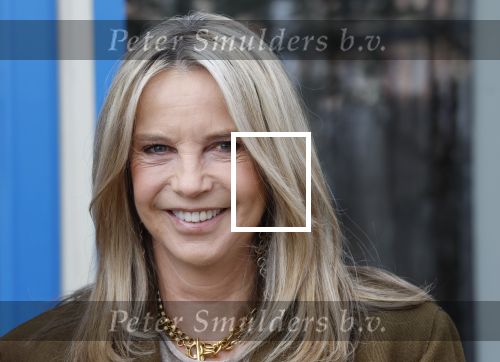 Amsterdam 26 maart 2026
Presentatie Linda Mini . Linda de Mol