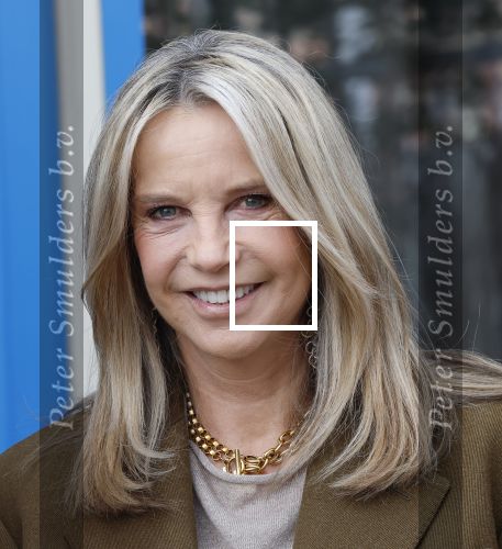 Amsterdam 26 maart 2026
Presentatie Linda Mini . Linda de Mol