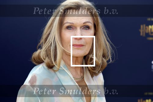 Scheveningen 14 maart 2026
Premiere Harry Potter in het afas circustheater. Liz Snoijink