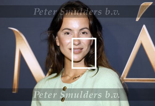 Amsterdam 11 maart 2026
Premiere 2e seizoen Maxima ( Videoland) in nieuwe kerk in Amsterdam . Lizzy v d Ligt met moeder