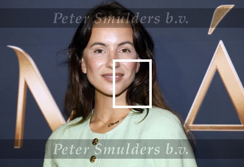 Amsterdam 11 maart 2026
Premiere 2e seizoen Maxima ( Videoland) in nieuwe kerk in Amsterdam . Lizzy v d Ligt met moeder