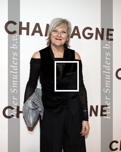 Amsterdam 16 maart 2026
Premiere Champagne met in de hoofdrollen Leo Alkemade Huub Stapel  en Guus Meeuwis . Loes Schnepper