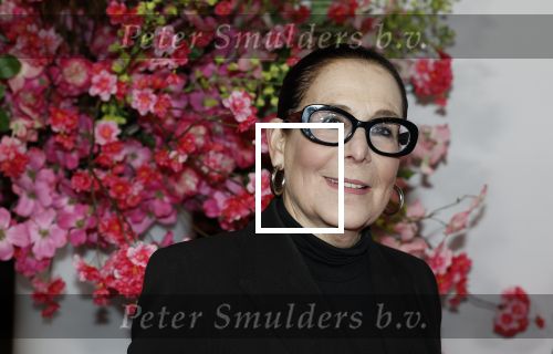 Amsterdam 26 maart 2026
Premiere Nationaal Ballet in de stopera. Lorainne ( Grannie odf Amsterdam ) kwam met haar zoon