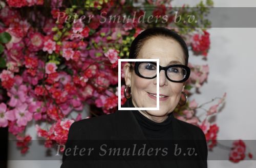 Amsterdam 26 maart 2026
Premiere Nationaal Ballet in de stopera. Lorainne ( Grannie odf Amsterdam ) kwam met haar zoon