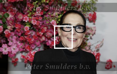 Amsterdam 26 maart 2026
Premiere Nationaal Ballet in de stopera. Lorainne ( Grannie odf Amsterdam ) kwam met haar zoon