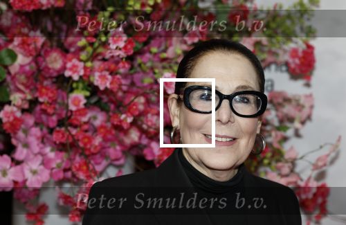 Amsterdam 26 maart 2026
Premiere Nationaal Ballet in de stopera. Lorainne ( Grannie odf Amsterdam ) kwam met haar zoon