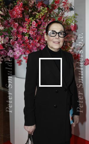 Amsterdam 26 maart 2026
Premiere Nationaal Ballet in de stopera. Lorainne ( Grannie odf Amsterdam ) kwam met haar zoon