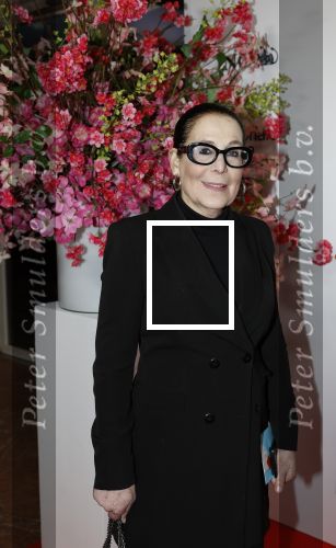 Amsterdam 26 maart 2026
Premiere Nationaal Ballet in de stopera. Lorainne ( Grannie odf Amsterdam ) kwam met haar zoon