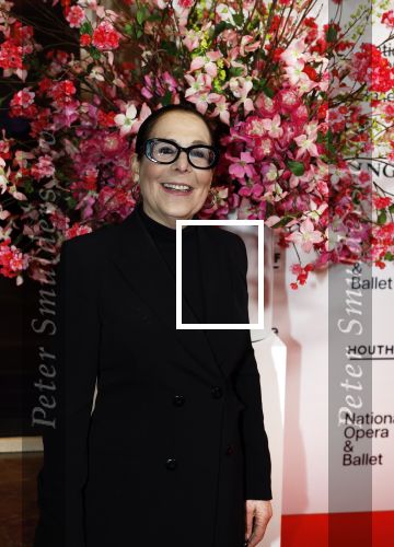 Amsterdam 26 maart 2026
Premiere Nationaal Ballet in de stopera. Lorainne ( Grannie odf Amsterdam ) kwam met haar zoon