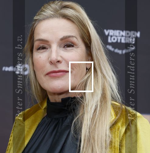 Amsterdam 29 maart 2026
Premiere we will rock you in het deLaMar theater . Lucille Werner met haar man