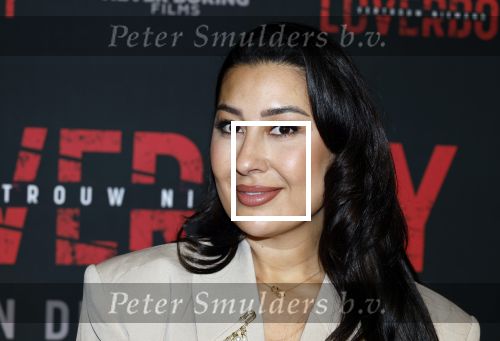 Amsterdam 24 maart 2026
Premiere Loverboys in Tuschinski. Mahi Khalesi