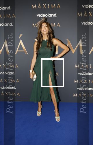 Amsterdam 11 maart 2026
Premiere 2e seizoen Maxima ( Videoland) in nieuwe kerk in Amsterdam . Maria Tailor