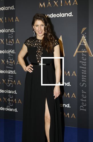 Amsterdam 11 maart 2026
Premiere 2e seizoen Maxima ( Videoland) in nieuwe kerk in Amsterdam . Marieke Elsinga