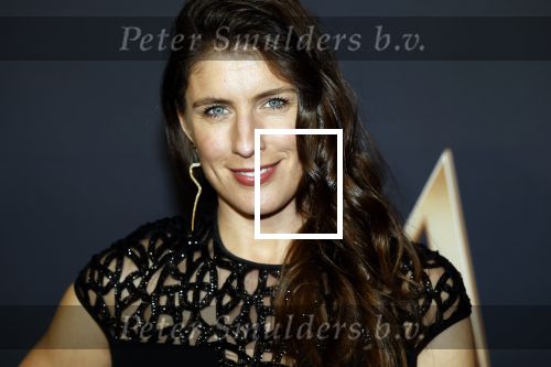 Amsterdam 11 maart 2026
Premiere 2e seizoen Maxima ( Videoland) in nieuwe kerk in Amsterdam . Marieke Elsinga