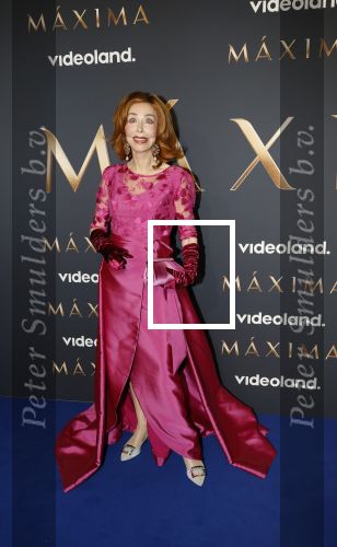 Amsterdam 11 maart 2026
Premiere 2e seizoen Maxima ( Videoland) in nieuwe kerk in Amsterdam . marijke Helwegen