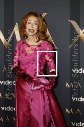 Amsterdam 11 maart 2026
Premiere 2e seizoen Maxima ( Videoland) in nieuwe kerk in Amsterdam . marijke Helwegen