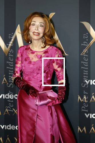 Amsterdam 11 maart 2026
Premiere 2e seizoen Maxima ( Videoland) in nieuwe kerk in Amsterdam . marijke Helwegen