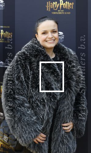 Scheveningen 14 maart 2026
Premiere Harry Potter in het afas circustheater. Marthe De Pillecyn