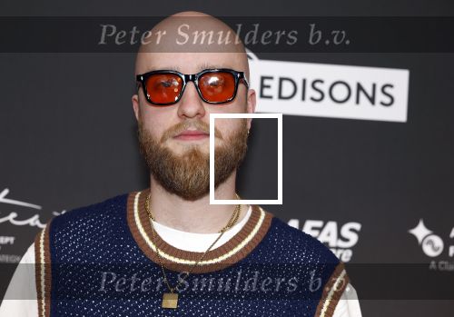 Leusden 9 maart 2026
Uitreiking edisons muziekprijzen bij Afas . Mathijs Louwsma